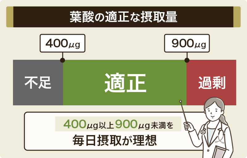 葉酸400μg以上は過剰摂取？推奨量と上限量の考え方