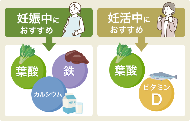 葉酸以外で妊活中や妊娠中に必要なビタミンやミネラルは？注意点も解説