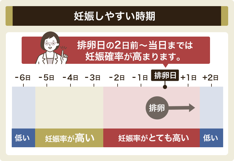 妊娠しやすい時期