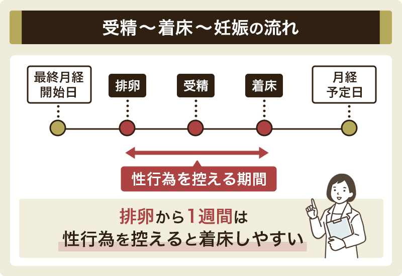 妊活では排卵日以降の性行為を控えるべき？妊娠しやすくする方法とは