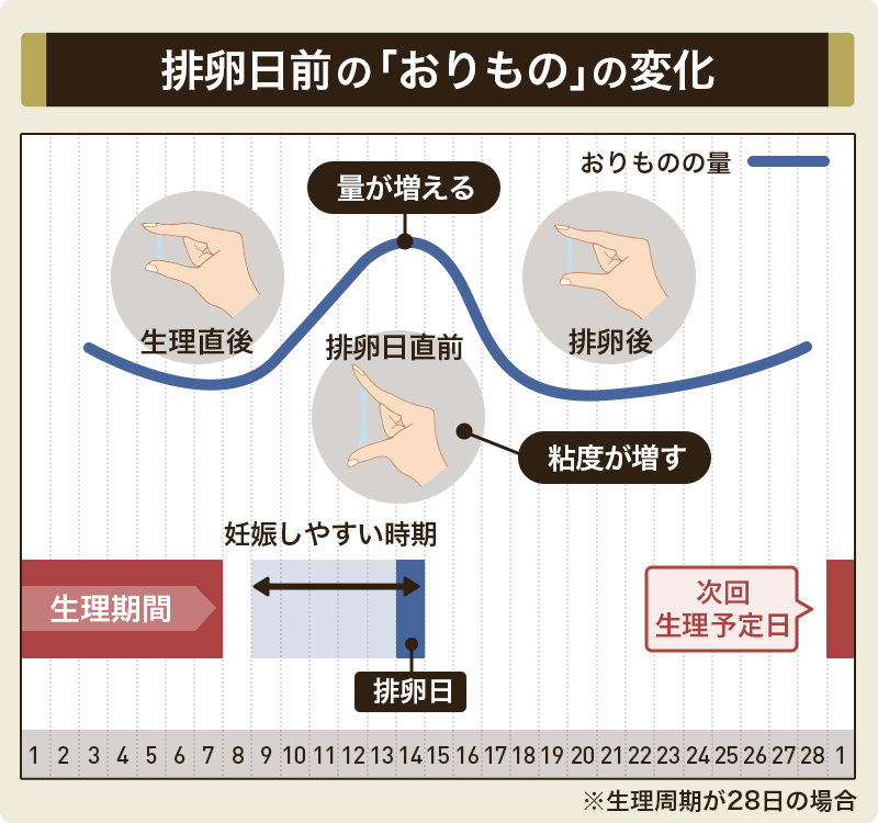 排卵日前の「おりもの」の変化
