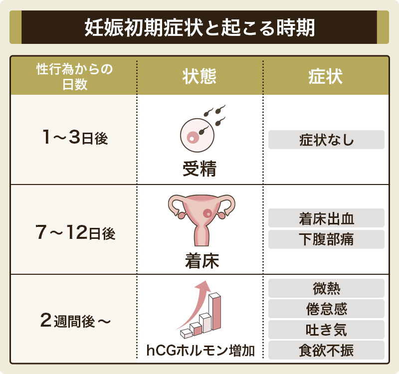 【まとめ】妊娠初期症状はいつから？性行為後1〜2週間で現れる