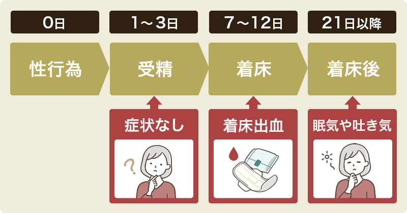 妊娠初期症状は性行為後いつから出る？1〜2週間で出現