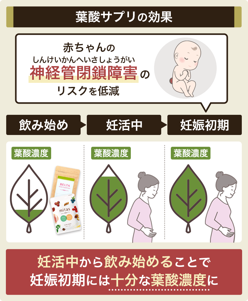 葉酸サプリメントの効果