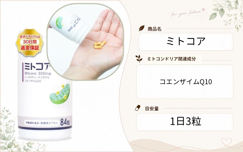 ミトコア