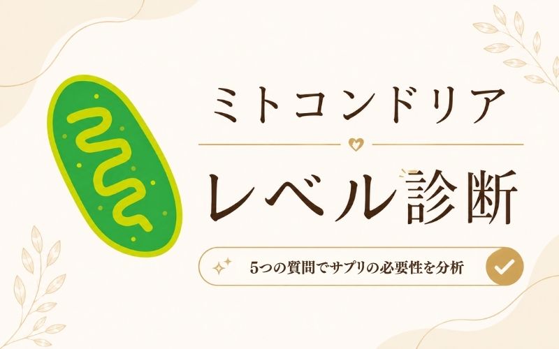 診断ツール
