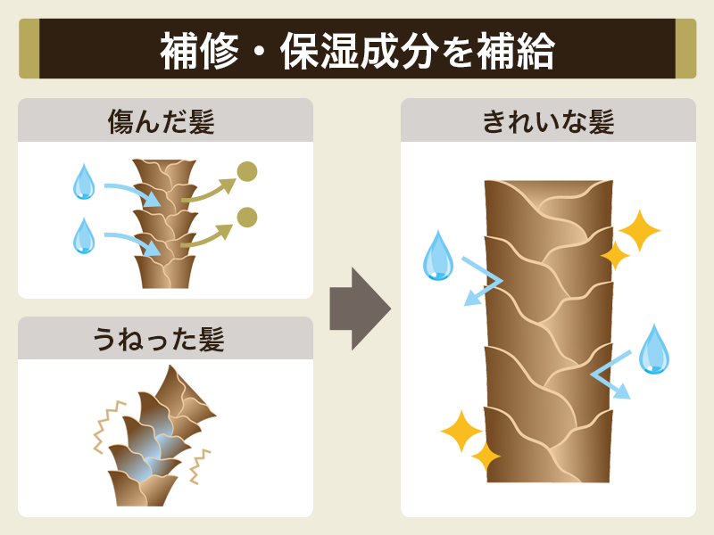 「ダメージ毛」におすすめのシャンプーの特徴