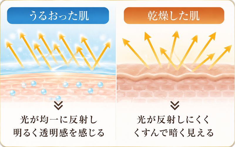 肌の透明感を感じる仕組み
